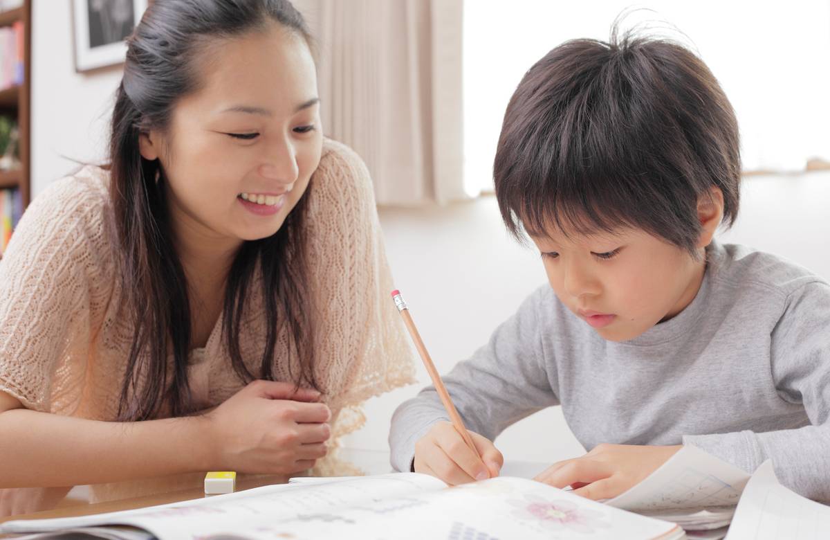 個別学習のセルモ
